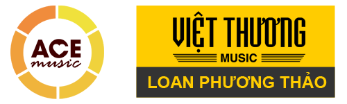 ACE Music – Cửa hàng nhạc cụ Quận 7 HCM