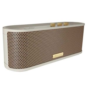 ROLAND BTM-1 - Loa di động