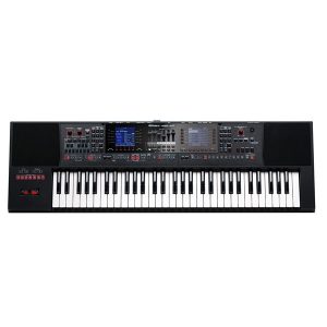 Dan-organ-keyboard-roland-e-a7