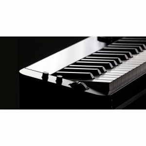 Dan-piano-dien-casio-px-s3000-4