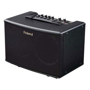 Roland AC-40 - Loa guitar thùng
