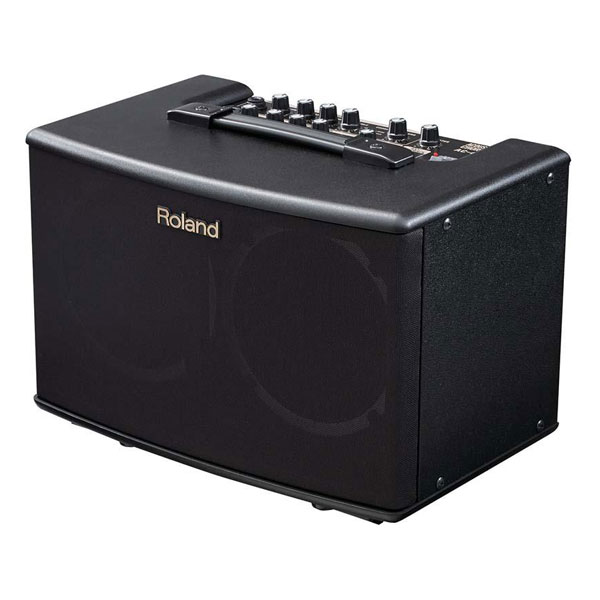 Roland AC-40 - Loa guitar thùng