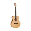 Tanglewood-twr2-o-dan-guitar-acoustic-truoc