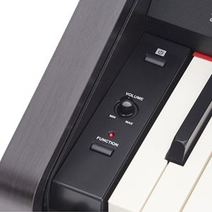 Dan-piano-dien-roland-rp-30-10