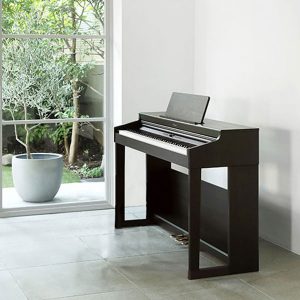 Dan-piano-dien-roland-rp701-9