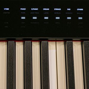 Dan-piano-dien-casio-px-s3100-7