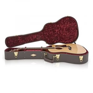 Dan-guitar-acoustic-taylor-310ce-1