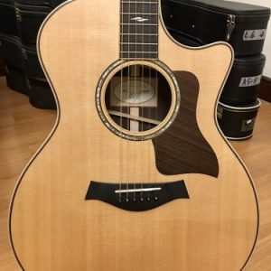 Dan-guitar-acoustic-taylor-814ce-5