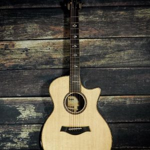 Dan-guitar-acoustic-taylor-914ce-3