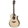 Dan-guitar-acoustic-taylor-914ce-4