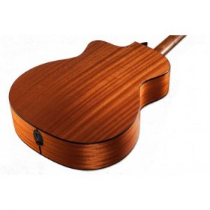 Dan-guitar-acoustic-taylor-110ce-5