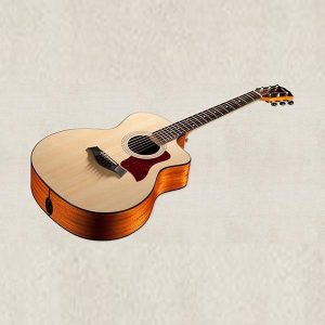Dan-guitar-acoustic-taylor-114ce-2