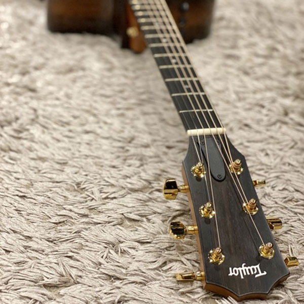Dan-guitar-acoustic-taylor-224ce-koa-deluxe-6