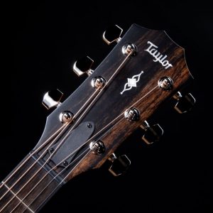 Dan-guitar-acoustic-taylor-317e-5