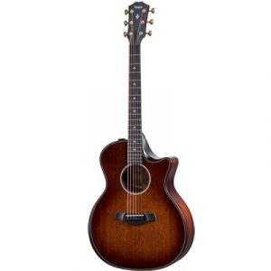Dan-guitar-acoustic-taylor-324ce-1