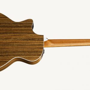 Dan-guitar-acoustic-taylor-414ce-2