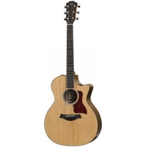 Dan-guitar-acoustic-taylor-514ce-1