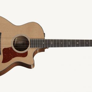 Dan-guitar-acoustic-taylor-514ce-2