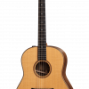 Dan-guitar-acoustic-taylor-717e-1