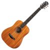 Dan-guitar-acoustic-taylor-bt2-bayby-mahogany-1