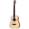 Dan-guitar-acoustic-taylor-tstb-taylor-swift-1