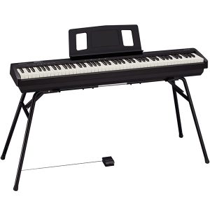 Dan-ơiano-dien-roland-fp-10bk-15