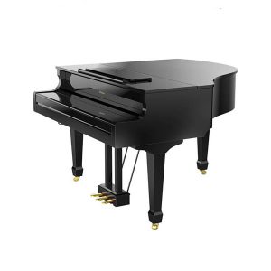 Dan-piano-dien-roland-gp-609-5