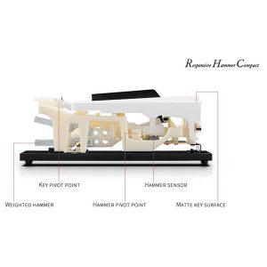 Dan-piano-dien-kawai-kdp-70-2